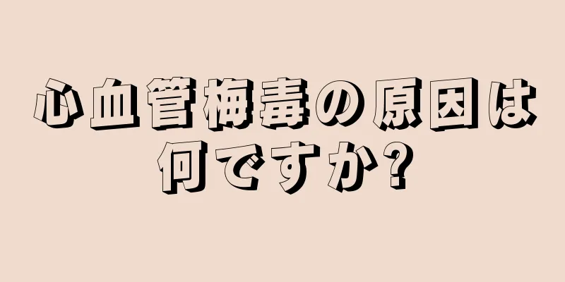 心血管梅毒の原因は何ですか?