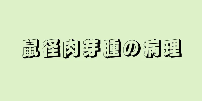 鼠径肉芽腫の病理