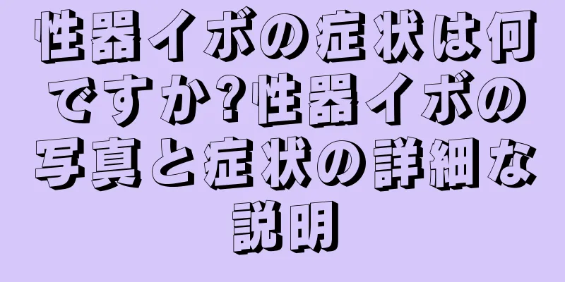 性器イボの症状は何ですか?性器イボの写真と症状の詳細な説明