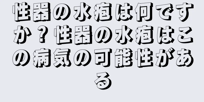 性器の水疱は何ですか？性器の水疱はこの病気の可能性がある