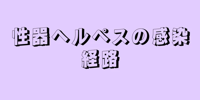 性器ヘルペスの感染経路