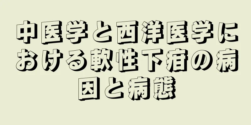 中医学と西洋医学における軟性下疳の病因と病態