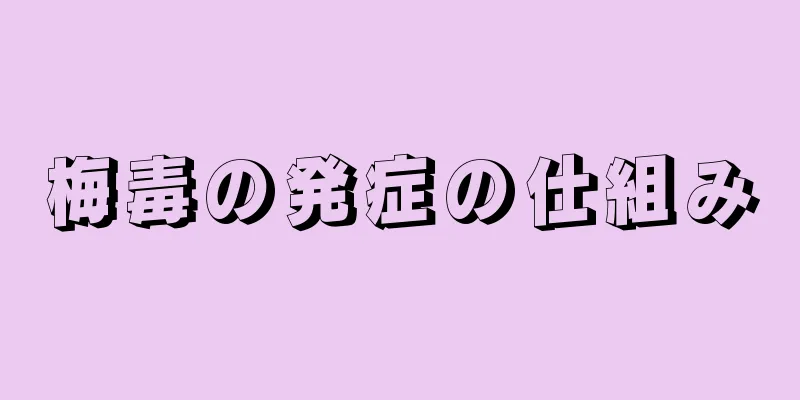 梅毒の発症の仕組み
