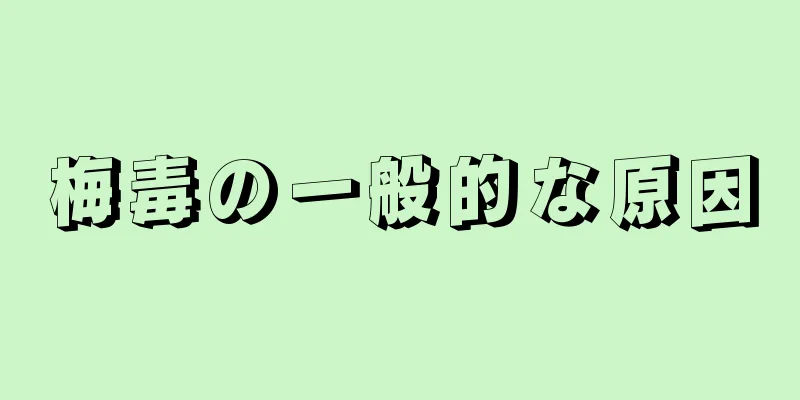 梅毒の一般的な原因