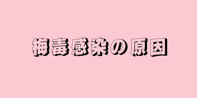 梅毒感染の原因