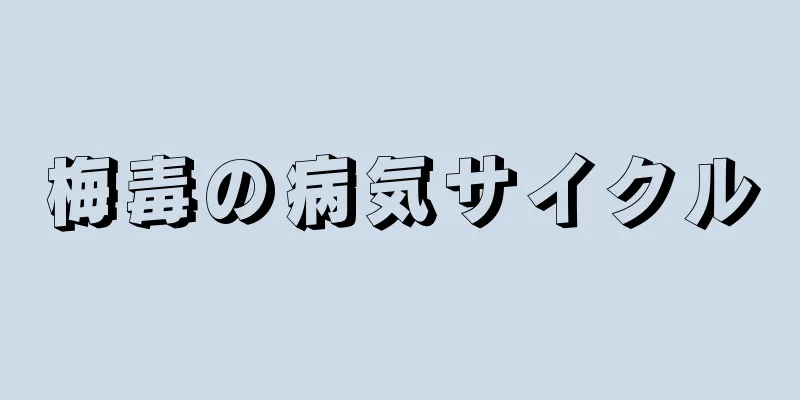 梅毒の病気サイクル