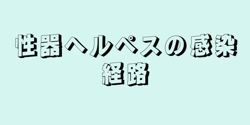 性器ヘルペスの感染経路