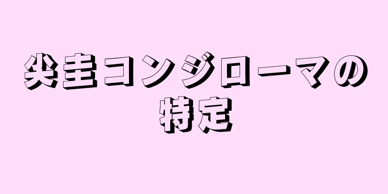 尖圭コンジローマの特定