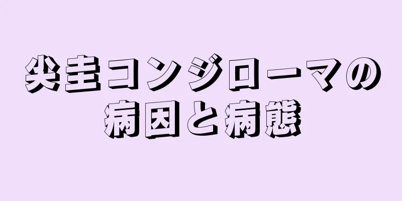 尖圭コンジローマの病因と病態