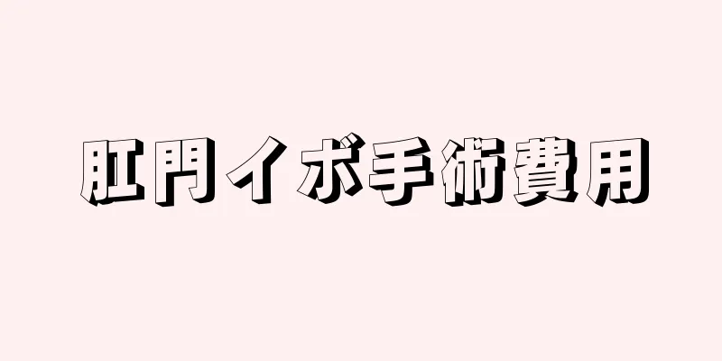 肛門イボ手術費用