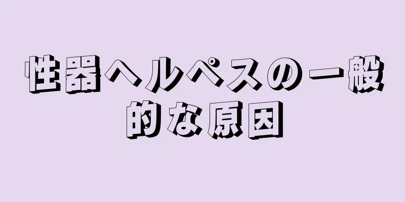 性器ヘルペスの一般的な原因