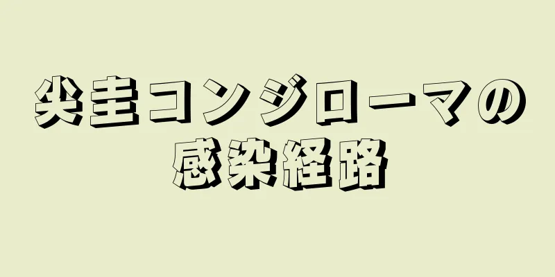 尖圭コンジローマの感染経路