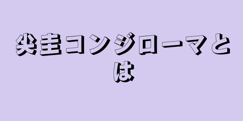 尖圭コンジローマとは
