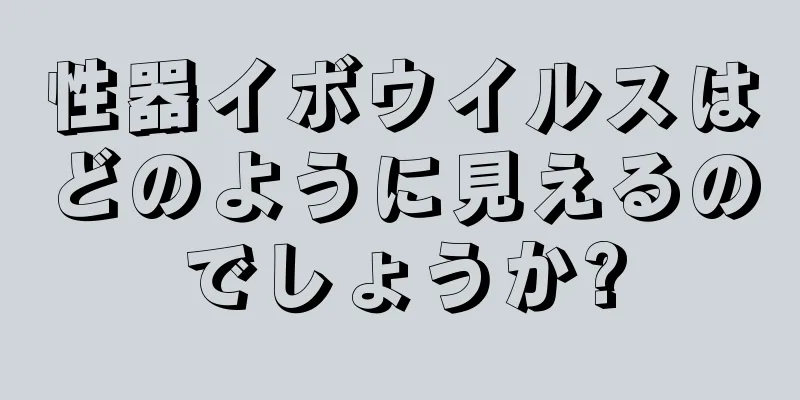性器イボウイルスはどのように見えるのでしょうか?