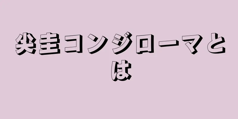 尖圭コンジローマとは