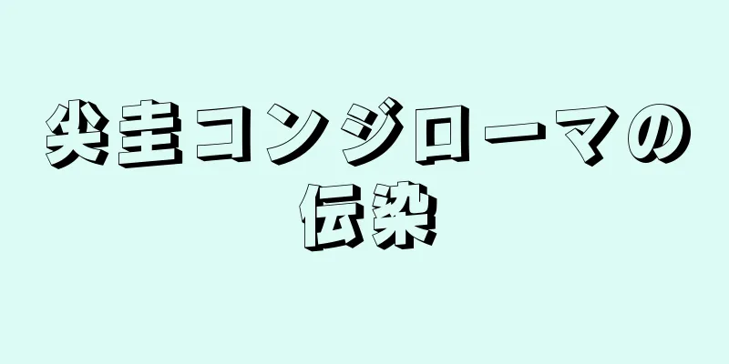 尖圭コンジローマの伝染