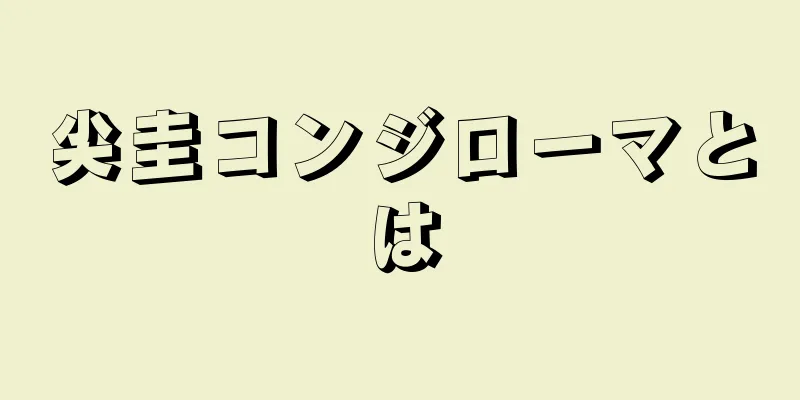 尖圭コンジローマとは