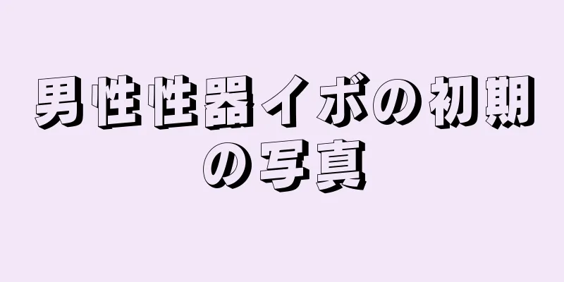男性性器イボの初期の写真
