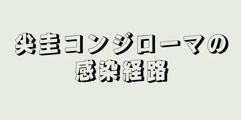 尖圭コンジローマの感染経路