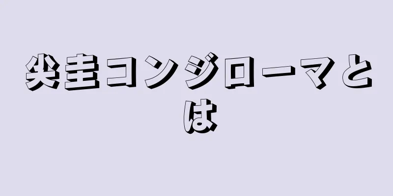 尖圭コンジローマとは