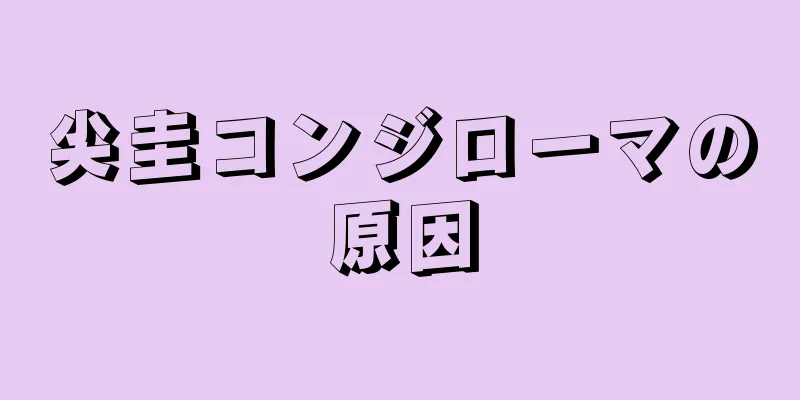 尖圭コンジローマの原因
