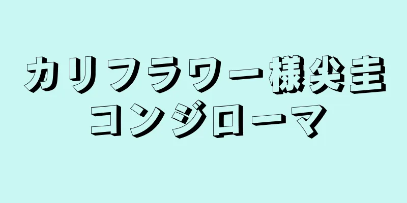 カリフラワー様尖圭コンジローマ