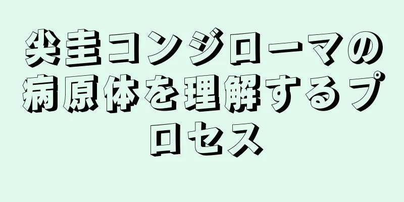 尖圭コンジローマの病原体を理解するプロセス