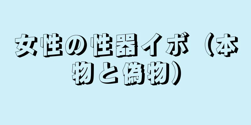 女性の性器イボ（本物と偽物）